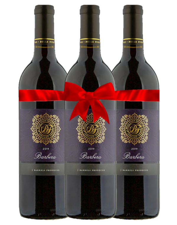 2019 Icon Barbera Bundle